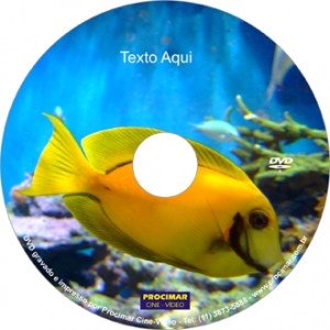 Perfil Nº 148